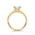2 Carat Round Cut Lab Grown Diamond Engagement Ring in Yellow Gold – Pavé Band Solitaire | Luzora Jewels