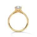 2 Carat Radiant Cut Lab Grown Diamond Ring for Women – Pavé Band Close-Up | Luzora Jewels