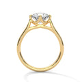 2 Carat Round Cut Lab Grown Diamond Engagement Ring in Yellow Gold – Tulip Gallery Solitaire | Luzora Jewels