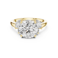 White gold lab grown diamond round cut ring with marquise accents, angled view — Luzora Jewels